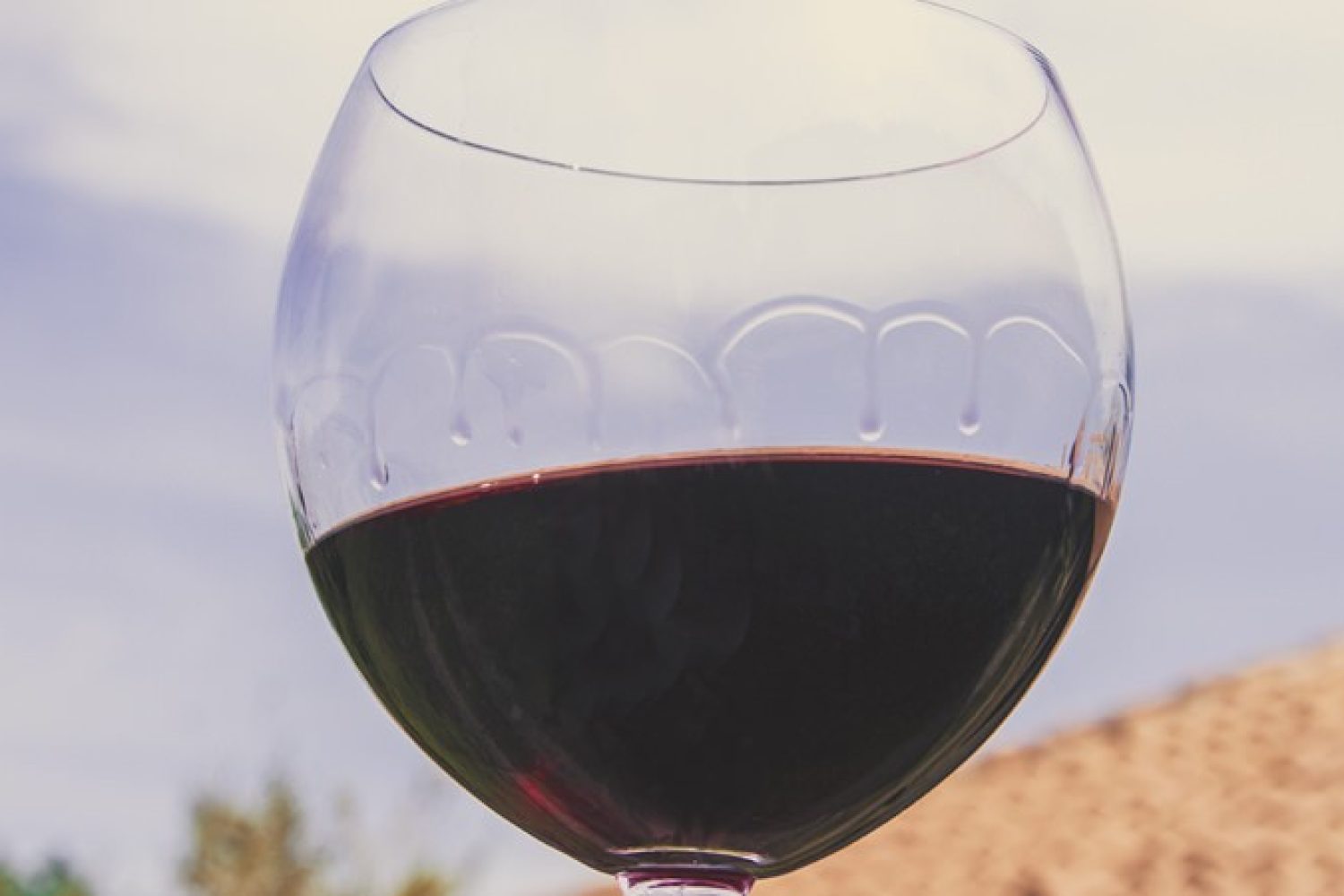 Fotograf: vinepair.com