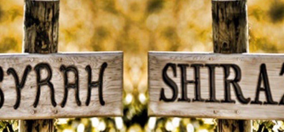 syrah mı shiraz mı