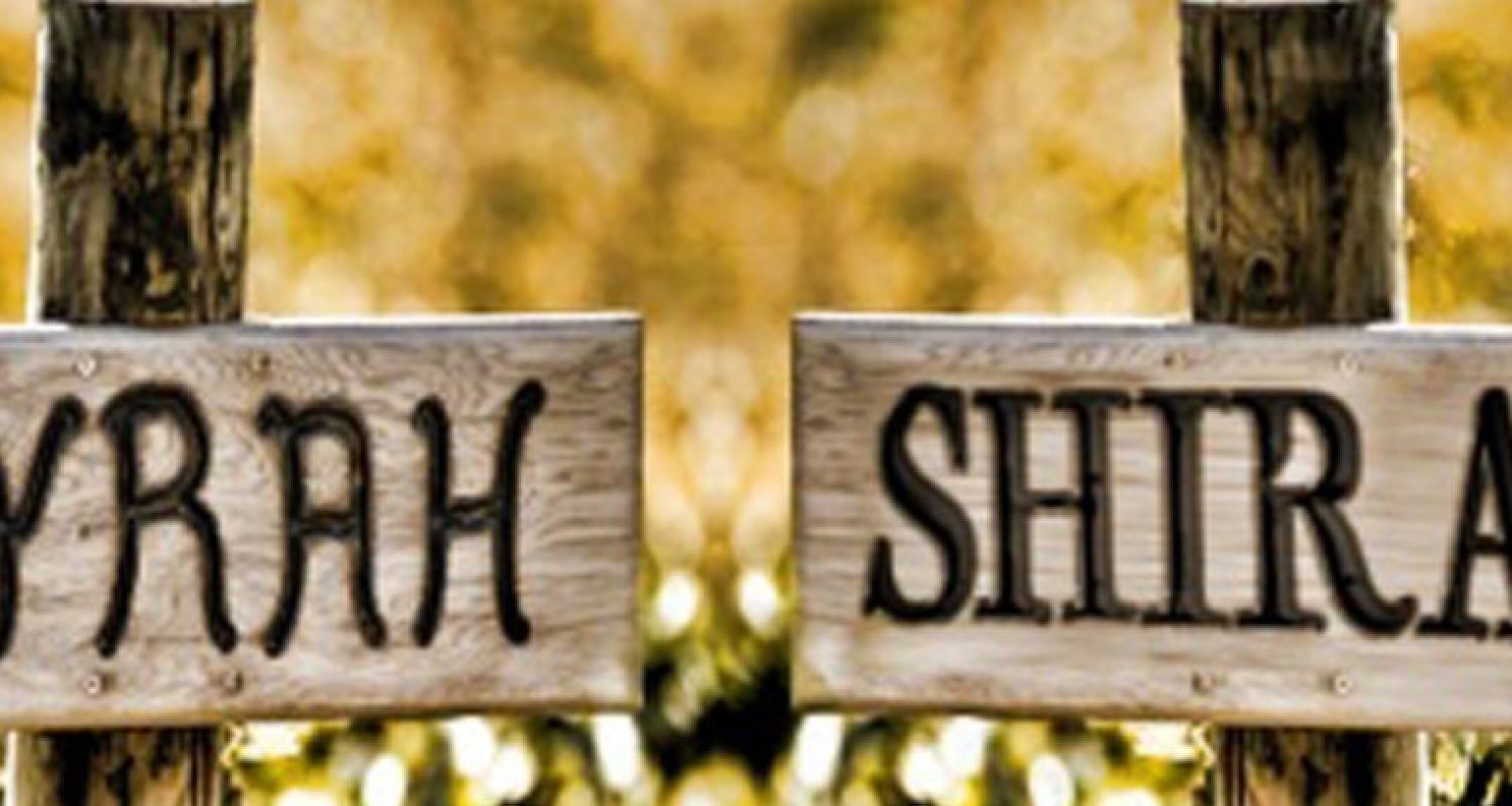 syrah mı shiraz mı
